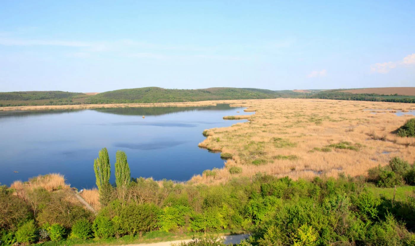 Seceta severă pune în pericol rezervația Srebarna