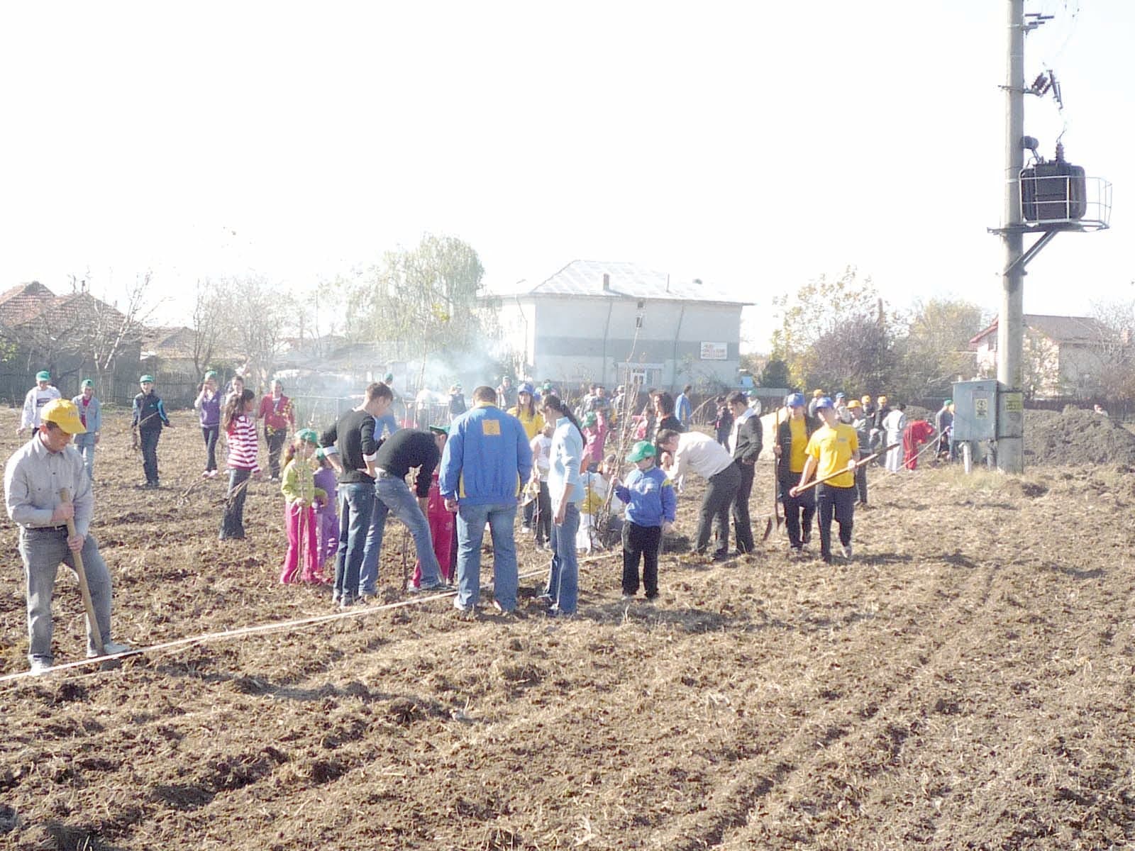 „Parc pentru Negoiesti”, initiativa a tineretului national liberal