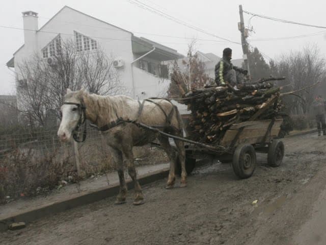 Tragedie la Cobadin: Două persoane și-au pierdut viața într-un accident rutier, în timp ce făceau întrecere cu căruțele