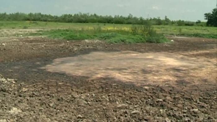 Zeci de animale suferă de pe urma deversărilor de borhot în râul Prahova