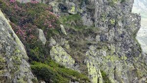 turisti blocati in Bucegi