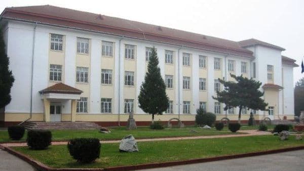 Dambovita - Proiect educativ de Dragobete la Centrul de Reeducare Gaesti — Educație