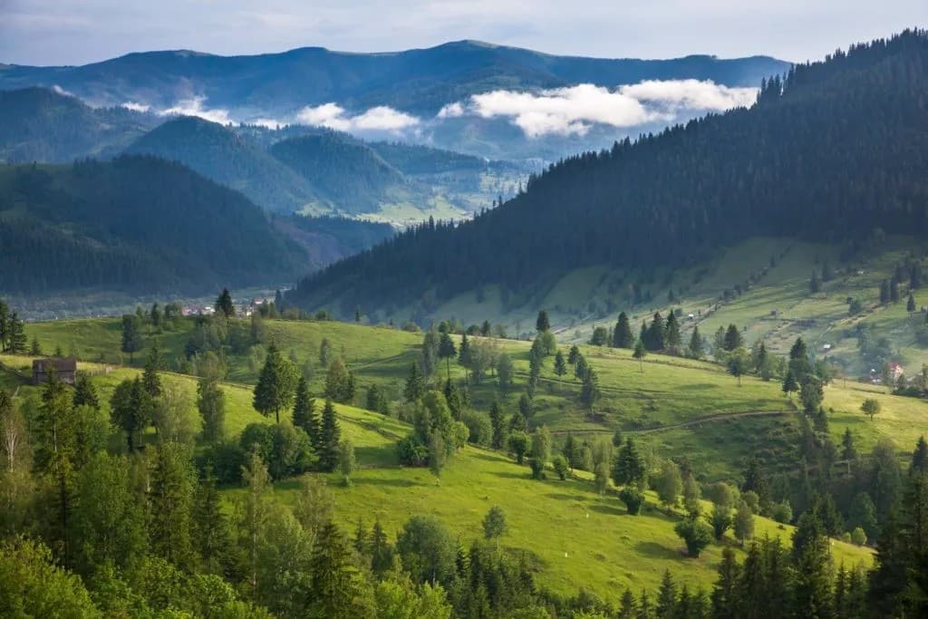 bucovina
