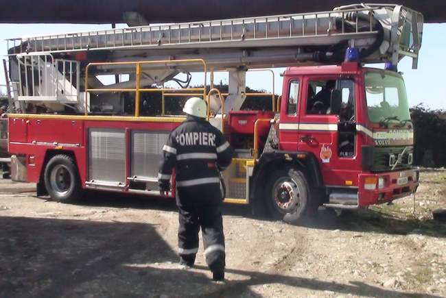 Pompierii au salvat un taur de 400 de kilograme căzut într-o groapă cu apă şi păcură în municipiul G — Societate