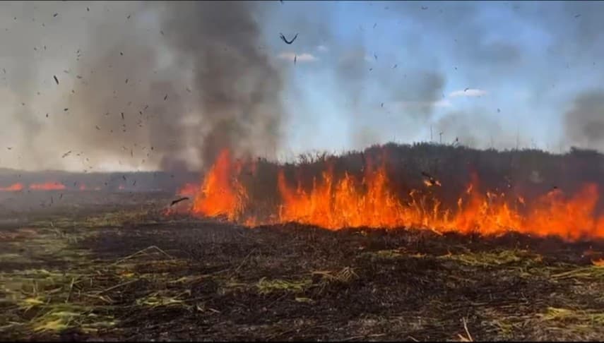 După 11 ore, incendiul a fost stins în localitatea Mihai Bravu — Societate