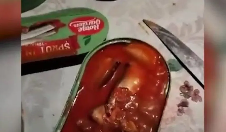 Sprot cu viermi -Carrefour