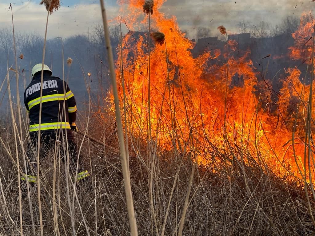 Incendiu Pompieri Vegetatie