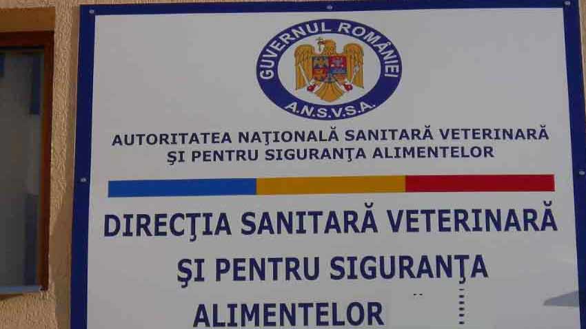 Dsvsa Dambovita