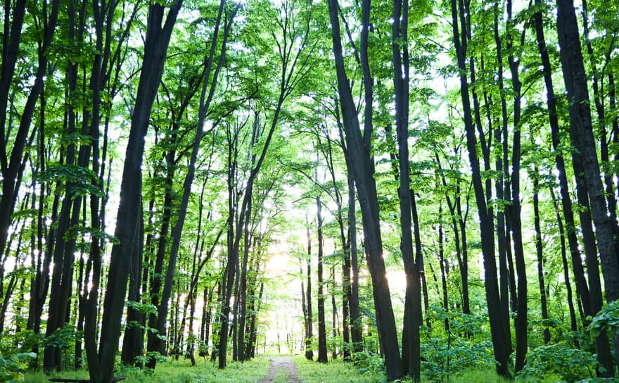 Centura Verde Bucureşti Ilfov