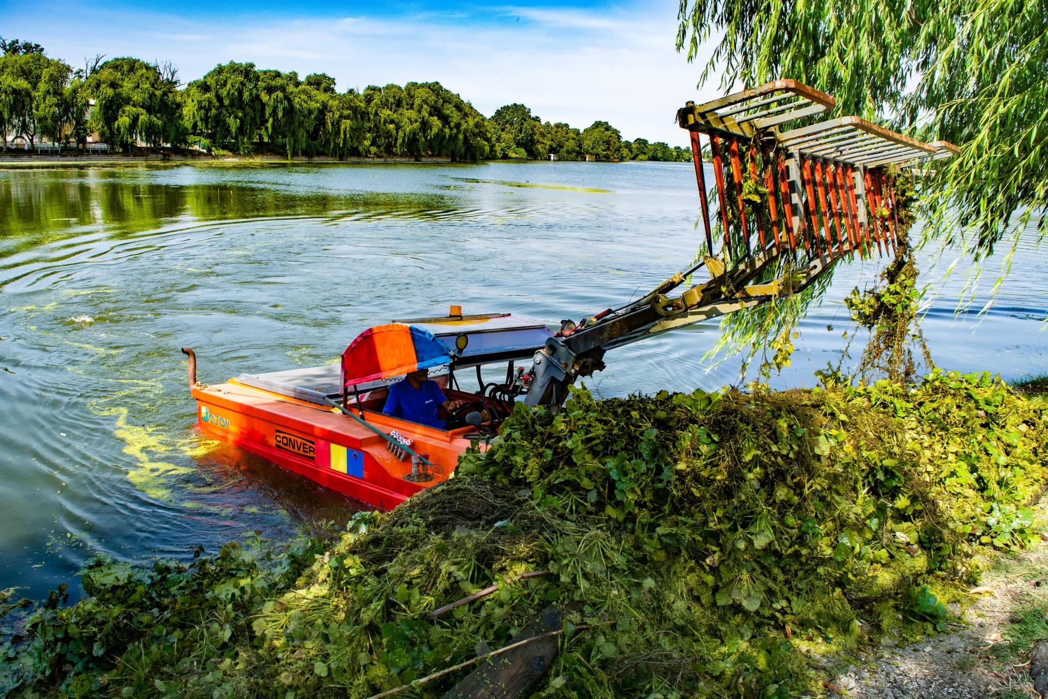Curatare lac Mogosoaia