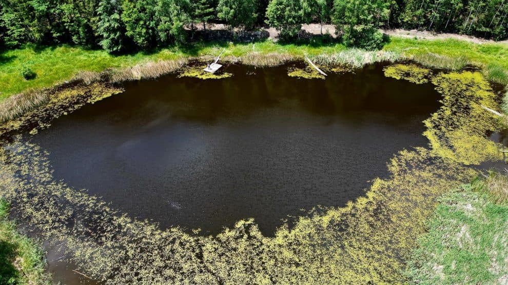 Lacul Negru Vrancea8