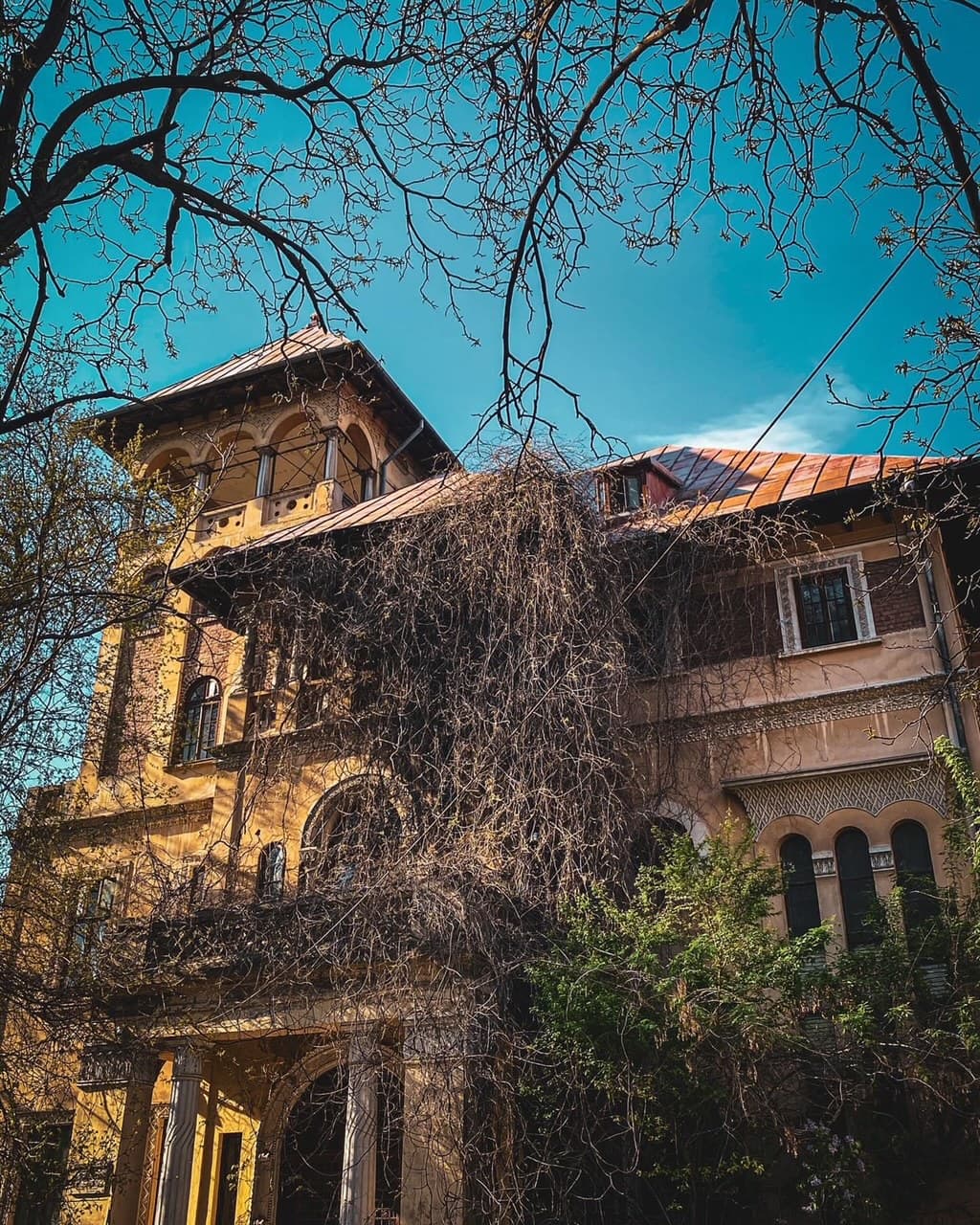 Casa Micescu 2