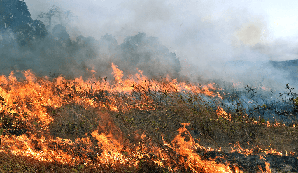 incendii ag