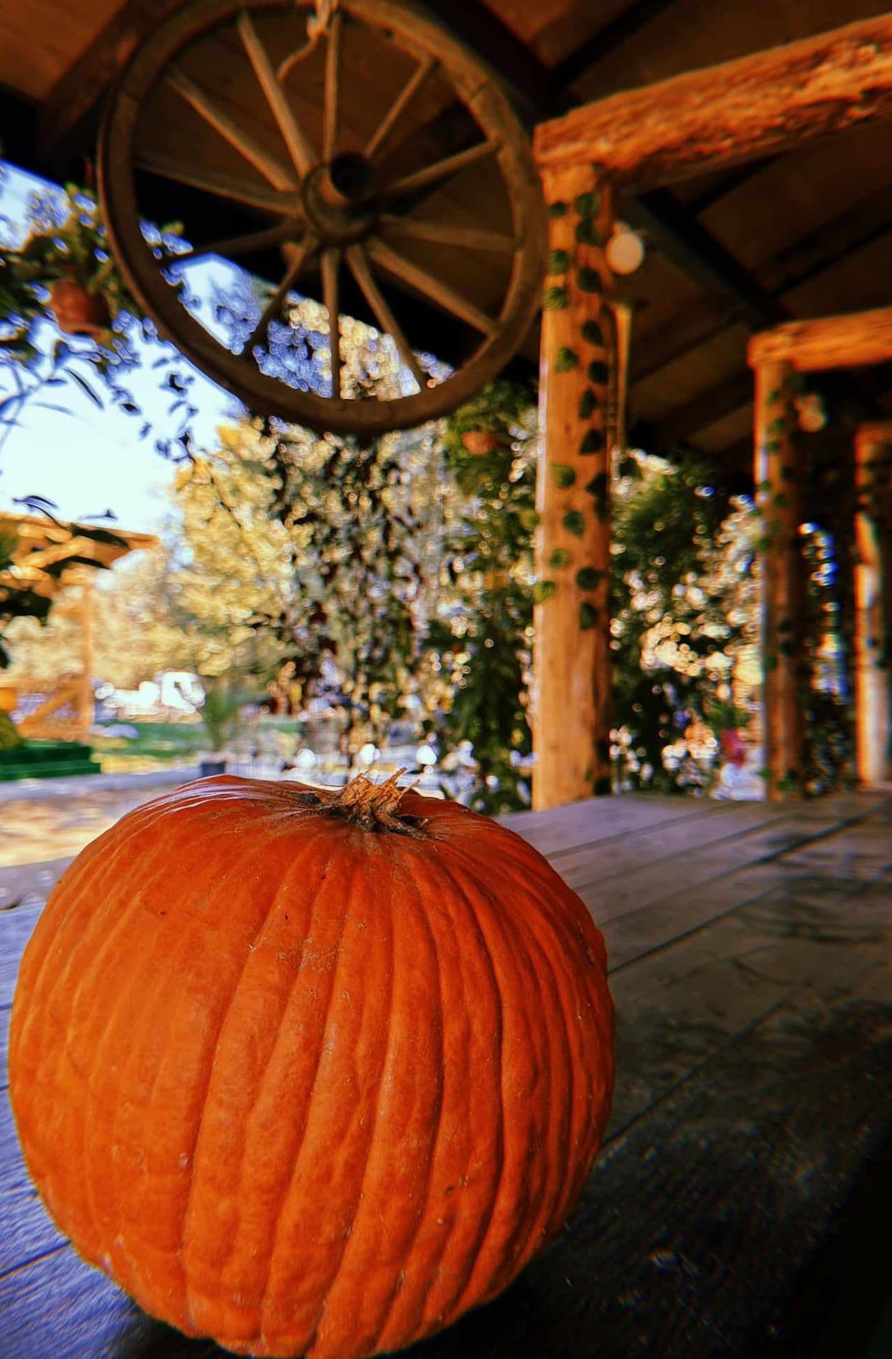 Începe prima ediție a evenimentului Festi-Fall@WesternPark din Vidra