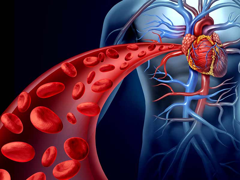 Hipertensiune Arteriala
