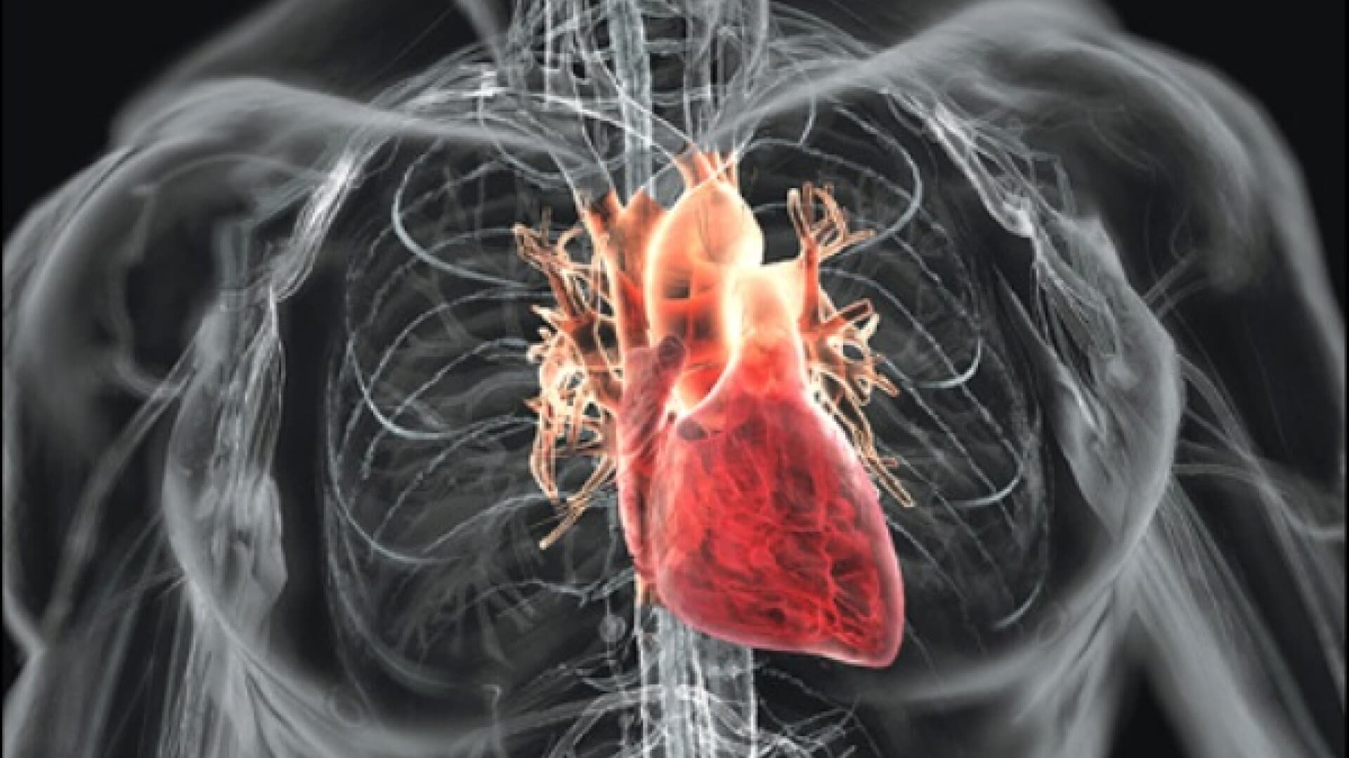 Bolile Cardiovasculare