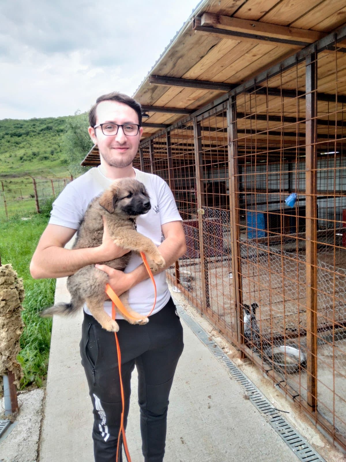 Mira și Noah – doi pui de cățel abandonați și-au găsit stăpâni noi. Povestea unei iubiri care nu are nevoie de cuvinte
