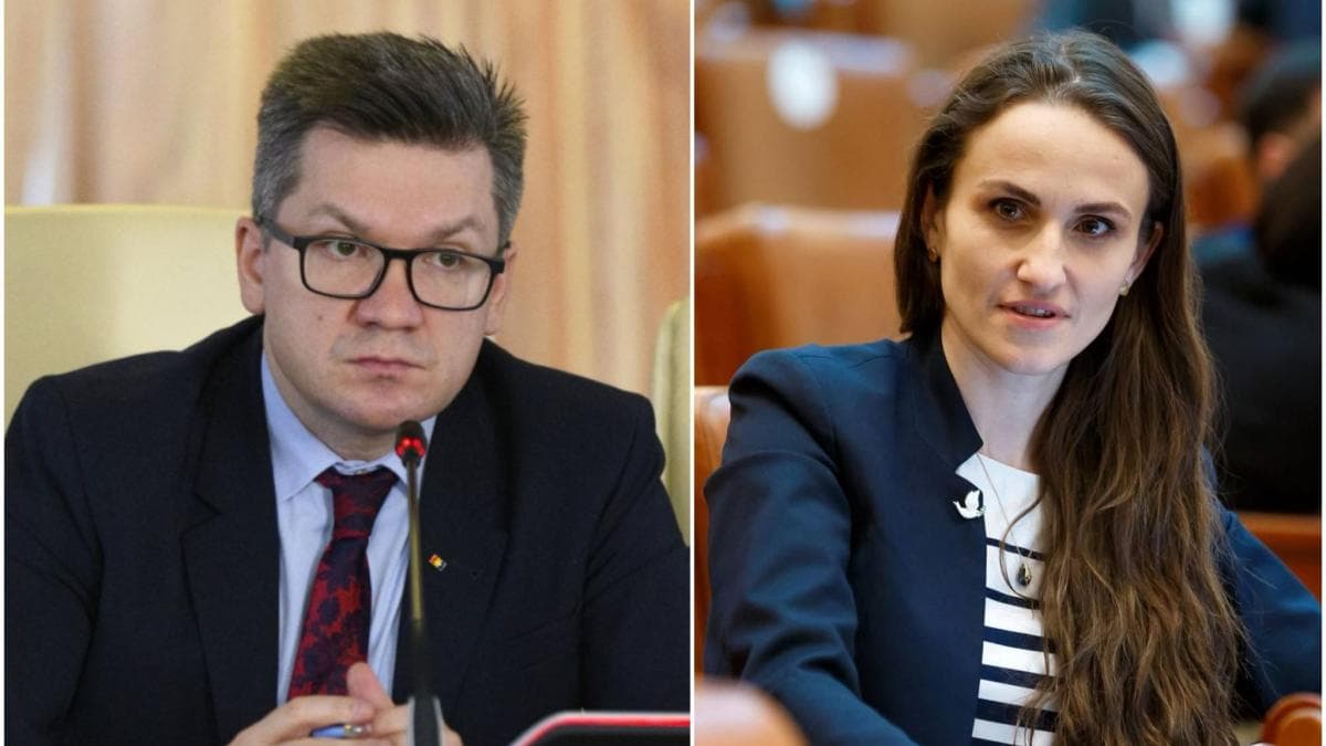 neamtu si oana toiu