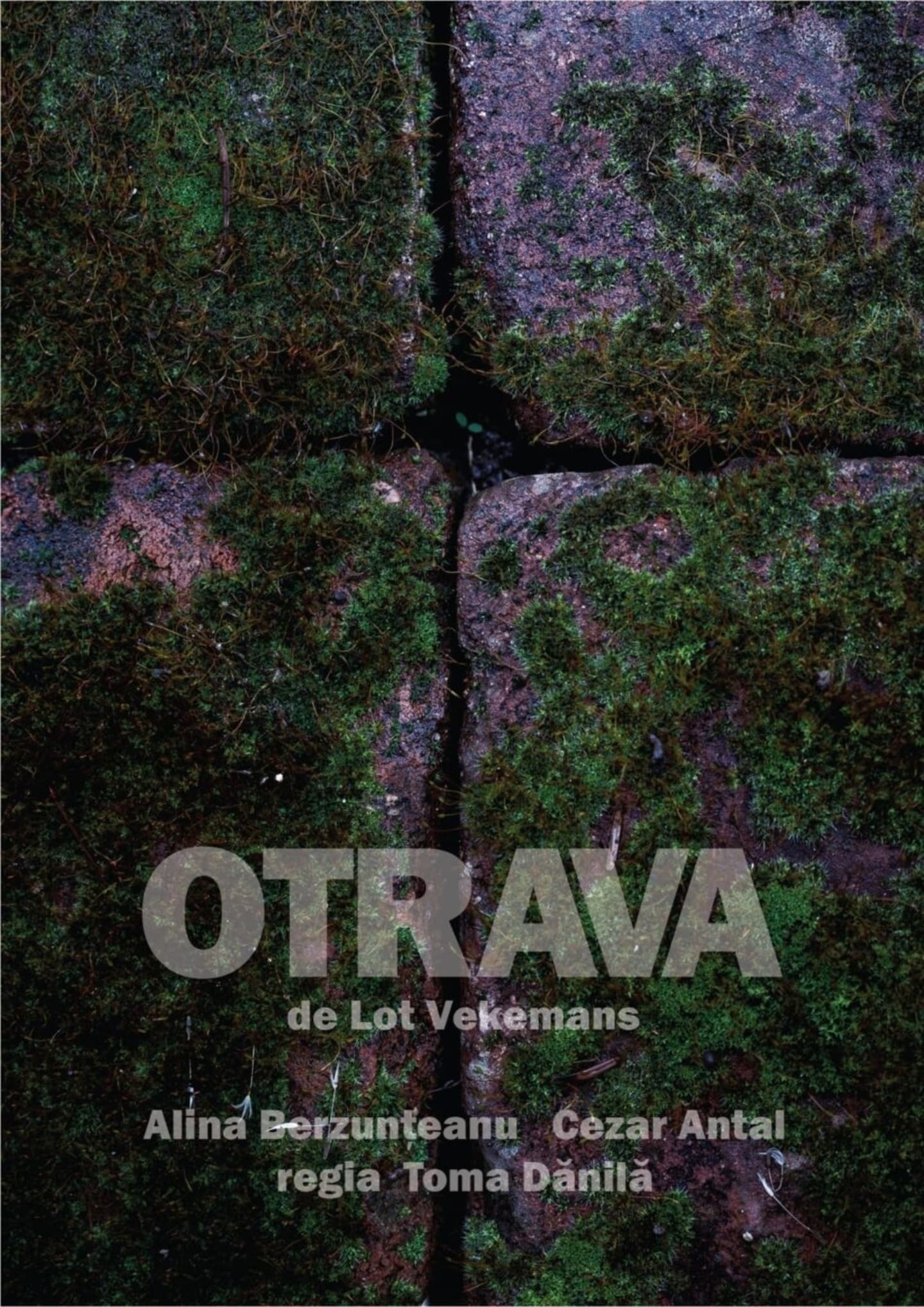 „Otravă” de Lot Vekemans, producţie Unteatru semnată de Toma Dănilă