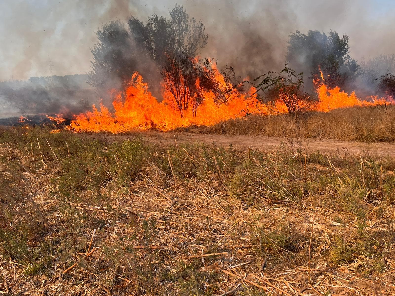 Incendiu Gr