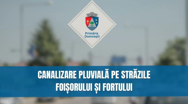 Domnesti