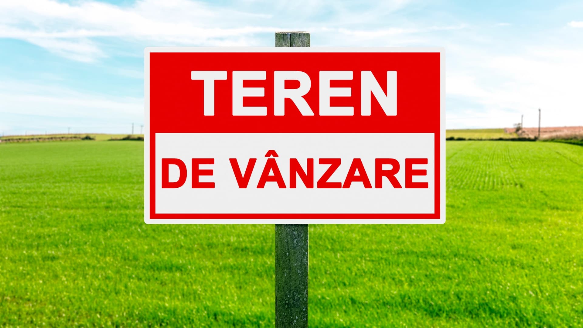 teren-agricol-pret-IF